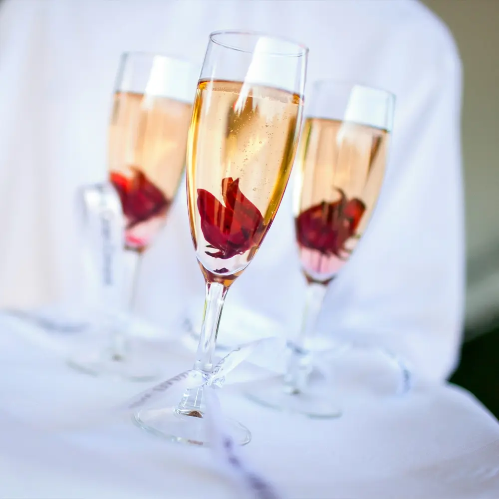 Sektempfang & Aperitifs