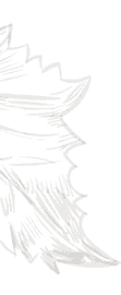 Decorative